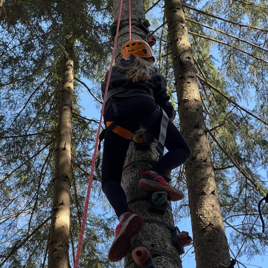Eine Frau mit Helm und Gurtzeug klettert auf einen Baum, wobei ihre Füße auf einem Klettergriff ruhen.