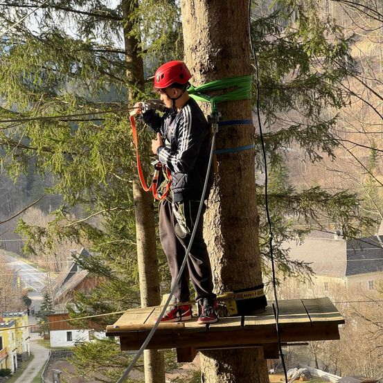 Ein Mann in einem roten Helm klettert einen Baum. Er steht auf einer Plattform, die mit Seilen und Metallklemmen gesichert ist. Die Szene spielt sich in einem Wald mit Blick auf Häuser und eine Straße ab.