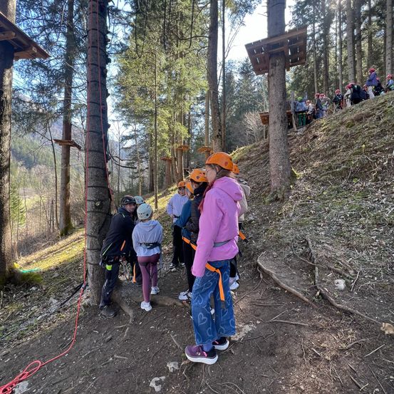 Eine Gruppe von Kindern mit Sicherheitsausrüstung steht auf einem Hang mit Bäumen und einem Seil. Sie schauen jemanden an, der einen Baum erklimmt. In der Ferne stehen mehrere Personen auf dem Hang.