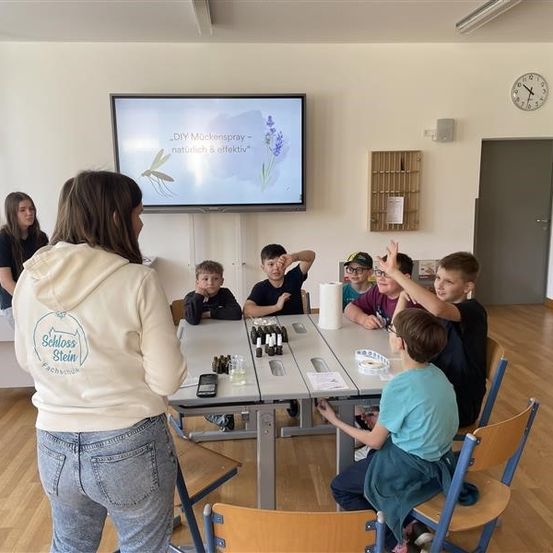 Eine Gruppe von Kindern und einer Frau in einem Klassenzimmer, die Frau steht, während die Kinder um einen Tisch mit Flaschen und Papieren sitzen. Eine Projektionsleinwand zeigt DIY-Mückenspray.