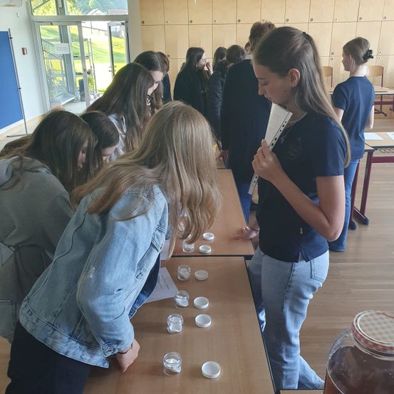 Eine Gruppe von Schülern in einem Klassenzimmer, mehrere von ihnen über Tischen mit kleinen Gläsern gebeugt, eine hält ein Buch und schaut darauf. Der Raum hat Holztische und Stühle.