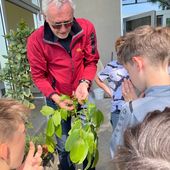 Ein älterer Mann in einem roten Jackett unterrichtet eine Gruppe von Kindern über eine Pflanze. Er hält eine Pflanze mit grünen Blättern und erklärt etwas. Die Kinder sind neugierig, schauen sich die Pflanze an und lauschen.