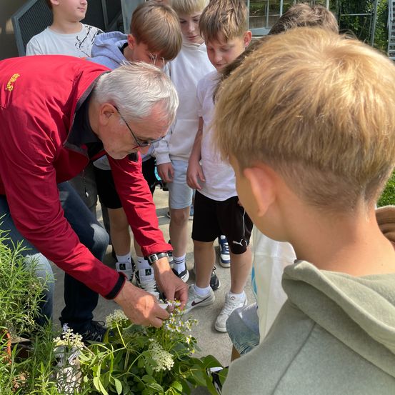 Ein älterer Mann in einem roten Jacket hilft einem jungen Jungen in einer grauen Kapuzenjacke, Blumen in einem Garten zu untersuchen, während andere Kinder zuschauen.