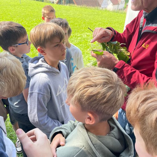 Eine Gruppe von Jungen steht auf einem Rasen. Ein älterer Mann zeigt den Kindern eine Pflanze.