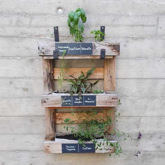 Ein hölzerner Pflanzkasten mit drei Ablagen, jede mit verschiedenen Kräutern. Das oberste Regal hat Basilikum und Petersilie, die mittlere Kamille und Blauampfer, und das unterste Geranie und Salbei.