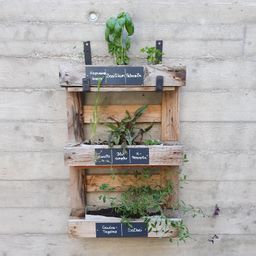 Ein hölzerner Pflanzkasten mit drei Ablagen, jede mit verschiedenen Kräutern. Das oberste Regal hat Basilikum und Petersilie, die mittlere Kamille und Blauampfer, und das unterste Geranie und Salbei.