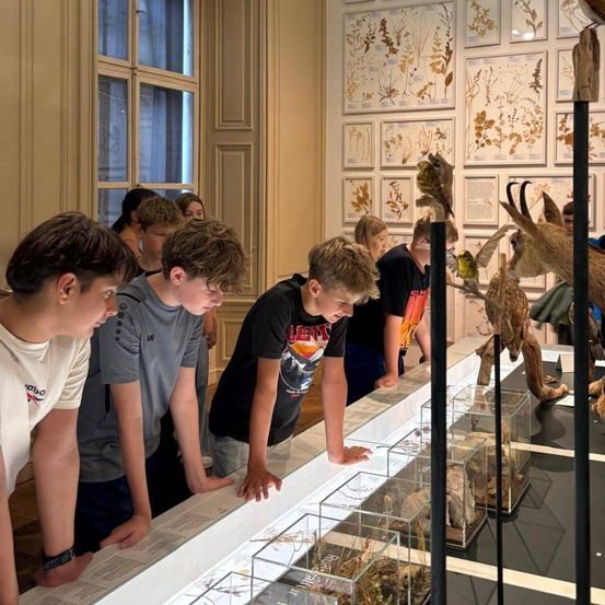 Eine Gruppe von Kindern betrachtet Ausstellungen in einem Museum. Sie stehen vor Glasvitrinen mit Pflanzen und Tieren darin.