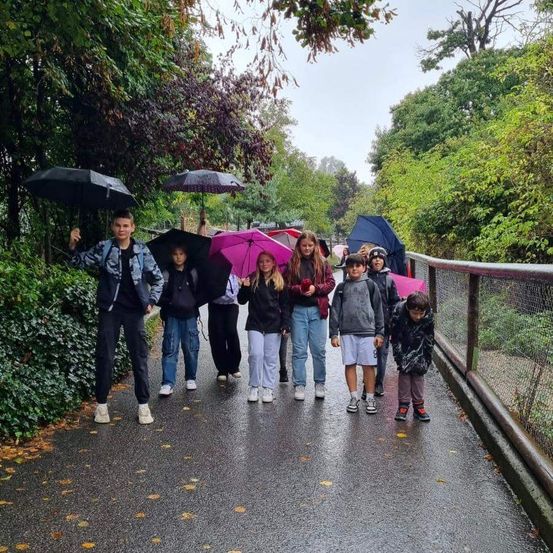 Eine Gruppe von Kindern, die Regenschirme tragen, geht auf einem gepflasterten Weg. Sie gehen wahrscheinlich zur Schule. Das Wetter ist regnerisch.
