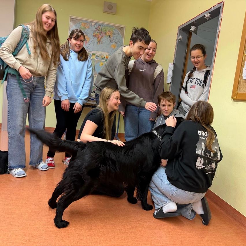 Eine Gruppe junger Menschen ist in einem Raum mit einem schwarzen Hund. Einige interagieren mit dem Hund, während andere zuschauen. Der Raum hat eine gelbe Wand und eine Karte darauf.
