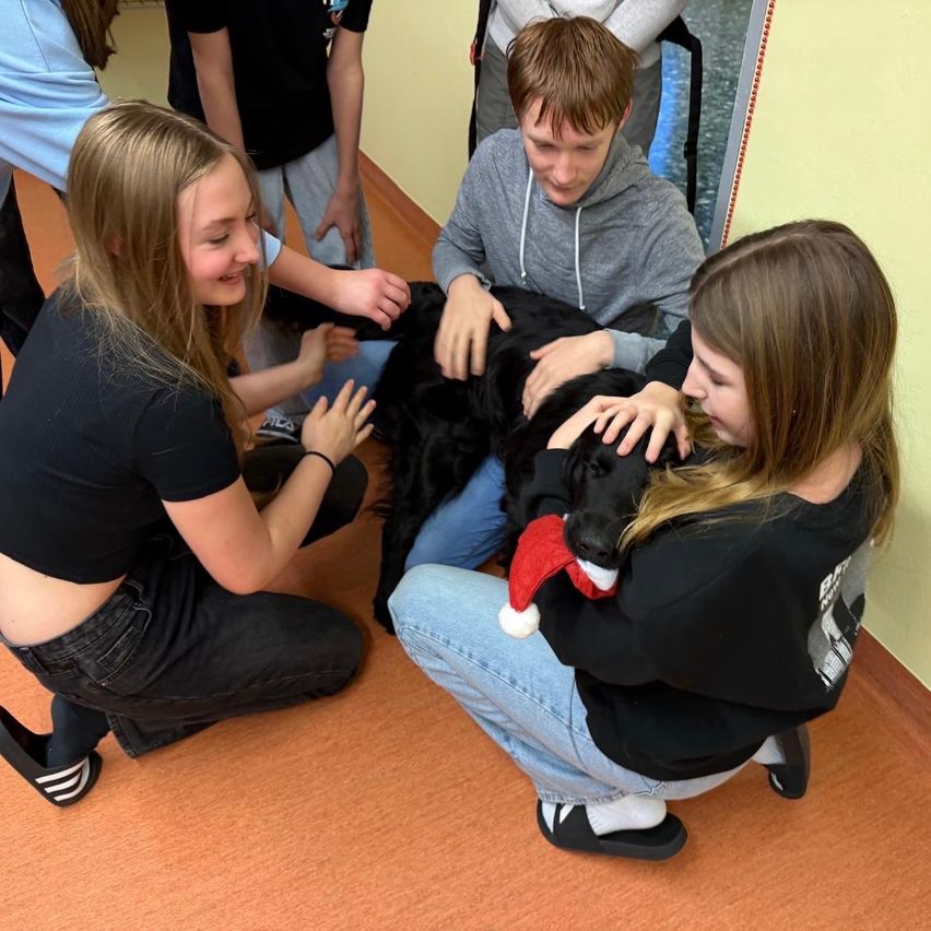 Eine Gruppe junger Menschen versammelt sich in einem Raum mit einem Hund. Zwei Mädchen sitzen und streicheln den Hund, während ein Junge ihn hält. Der Hund trägt einen Weihnachtsmannhut.