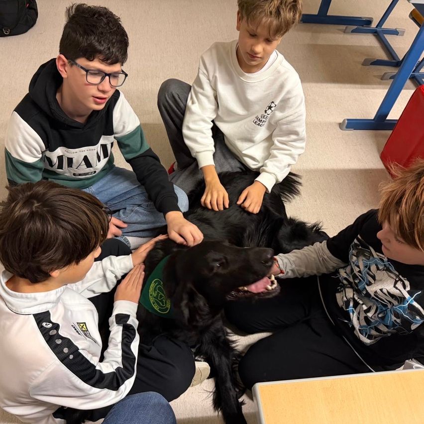 Vier Jungen sitzen um einen schwarzen Hund, der ein grünes Halsband trägt. Sie streicheln den Hund. Der Raum hat Teppichböden und blaue Stühle.