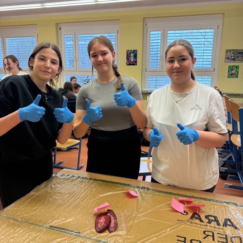 Drei Mädchen in Handschuhen posieren mit erhobenen Daumen in einem Klassenzimmer vor einem abgedeckten Tisch mit Herzmodellen. Hinter ihnen sind gelbe Wände und Fenster zu sehen.