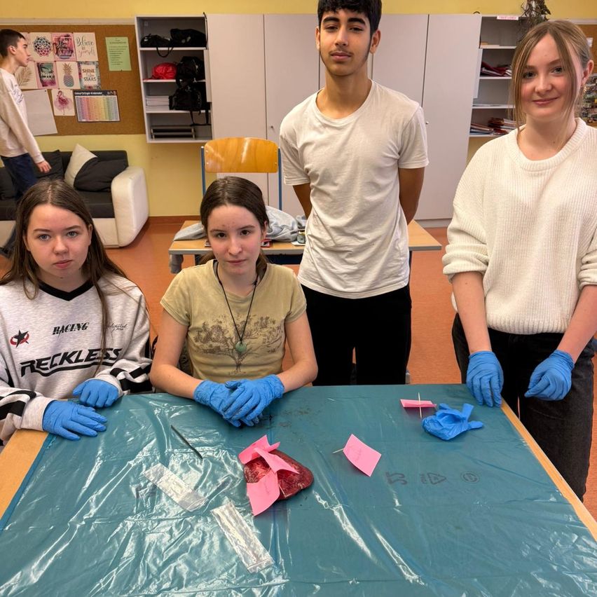 Fünf Schüler stehen in einem Raum mit einem abgedeckten Tisch und tragen Handschuhe. Sie lächeln und haben ein Herzmodell mit einigen medizinischen Werkzeugen auf dem Tisch.