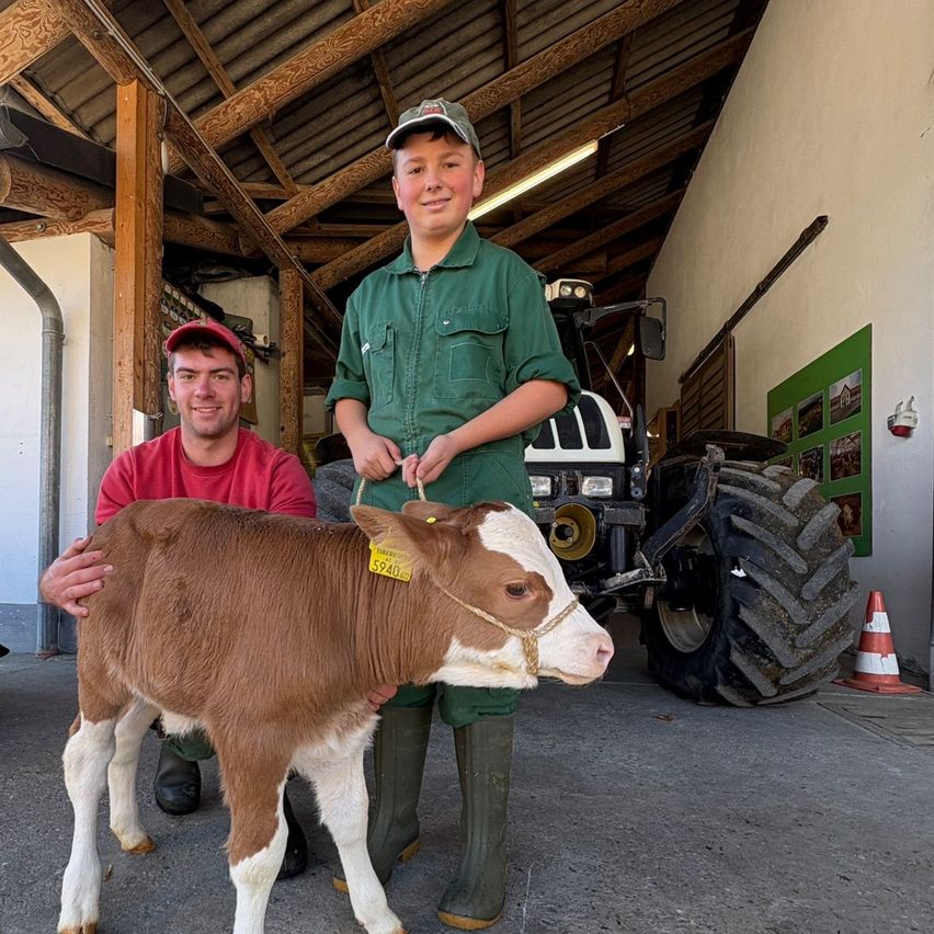 Zwei junge Männer in grünen Uniformen halten ein junges Kalb in einer Scheune. Das Kalb hat einen gelben Aufkleber mit der Nummer 5940. Dahinter steht ein Traktor.