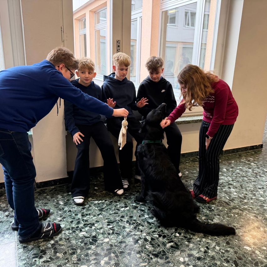 Five children in casual attire are playing with a black dog in a room with glass windows.