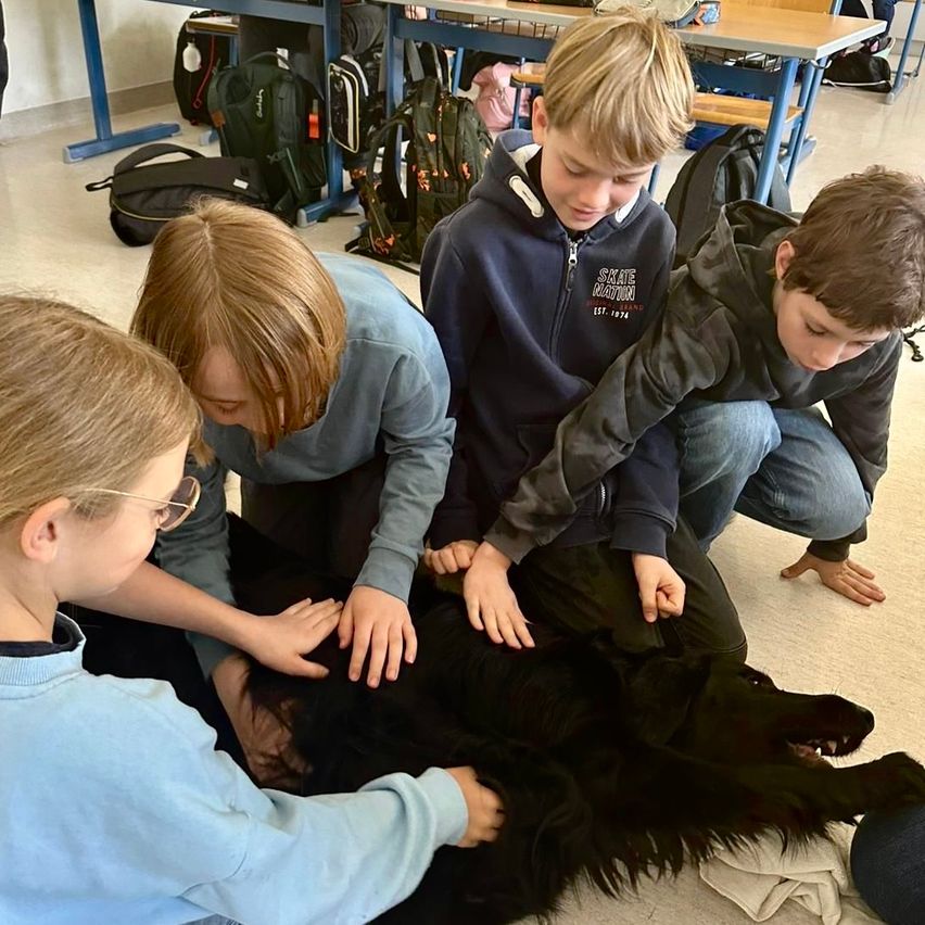 Four children are kneeling around a black dog in a classroom. The children are touching the dog.