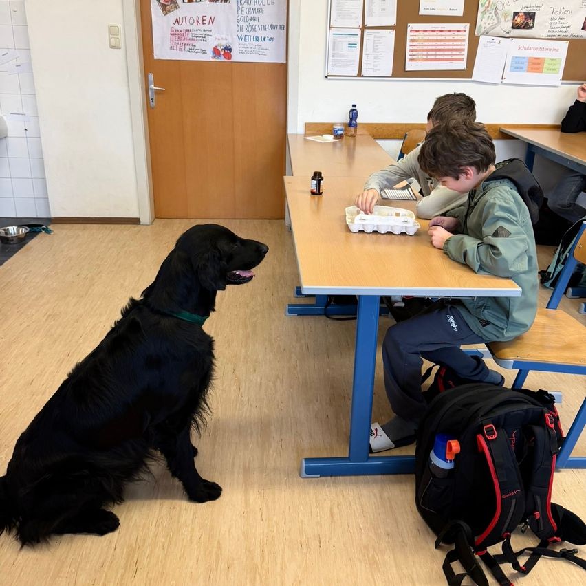 Two boys are seated at a table in a classroom, one is eating. A black dog is sitting on the floor, watching them.