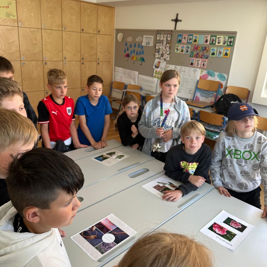 Ein Klassenzimmer mit mehreren Kindern, die sich um einen Tisch versammelt haben. Der Tisch hat gedruckte Bilder. Ein Kreuz ist an der Wand. Die Kinder schauen sich die Bilder auf dem Tisch an.