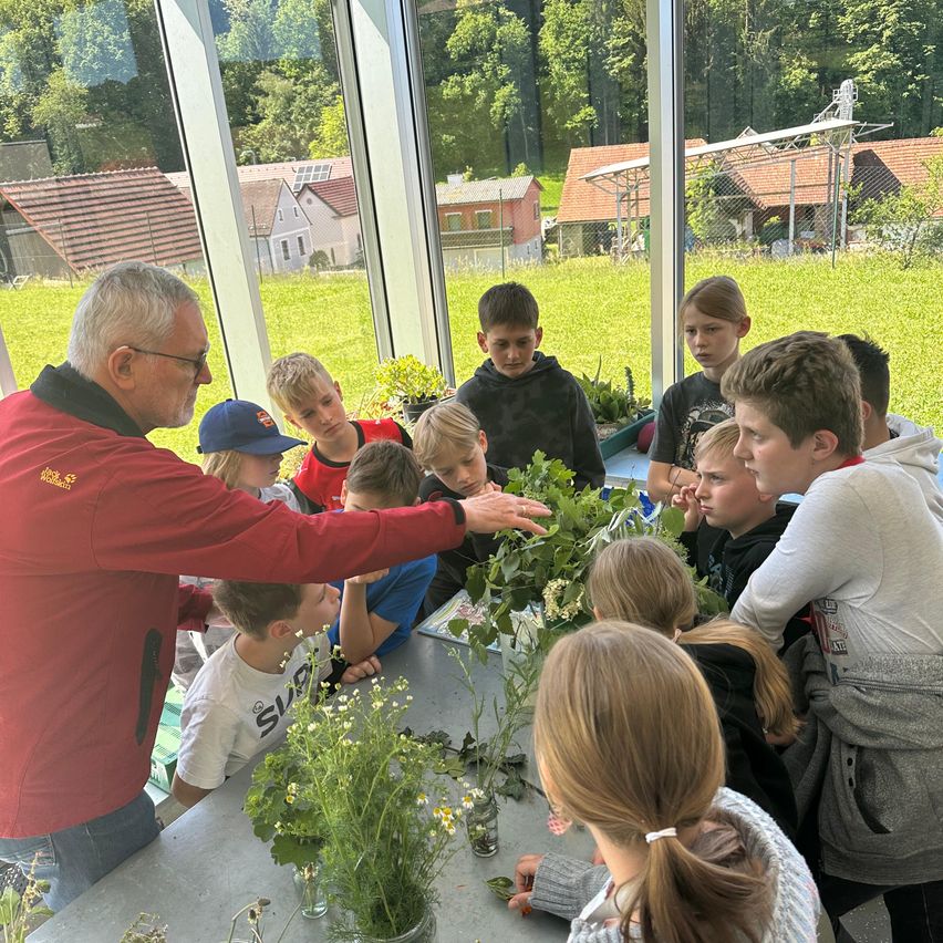 Ein Mann in einem roten Jackett führt eine Gruppe von Kindern um einen Tisch mit Pflanzen in einem Gewächshaus. Sie untersuchen die Pflanzen genau.