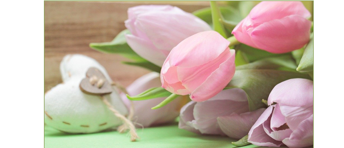 Bild enthält, Advertisement, Poster, Flower, Plant, Rose, Petal, Page, Text