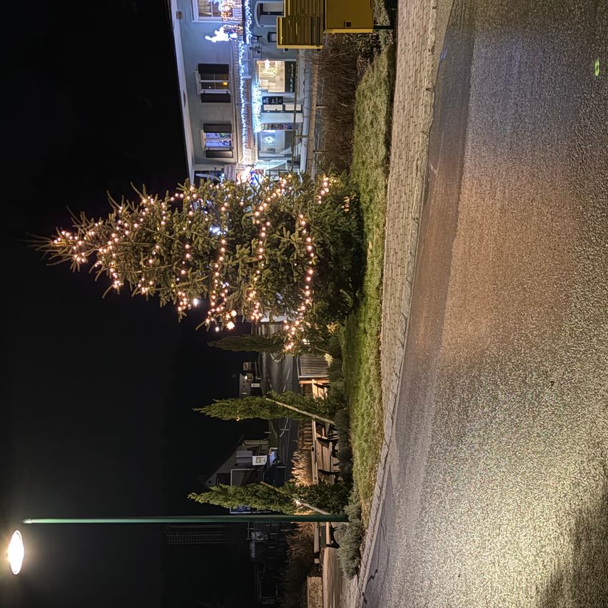 Ein beleuchteter Weihnachtsbaum steht vor einem Gebäude mit mehreren Fenstern und dekorativen Lichtern. Der Baum ist mit weißen Lichtern beleuchtet. Eine Straßenlaterne steht auf der linken Straßenseite.