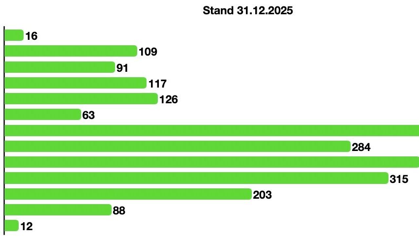 Ein Balkendiagramm zeigt verschiedene Zahlen, die mit dem Datum 31.12.2025 verbunden sind. Die Balken sind mit den Zahlen 16, 91, 117, 126, 63, 284, 203, 88 und 2 beschriftet.