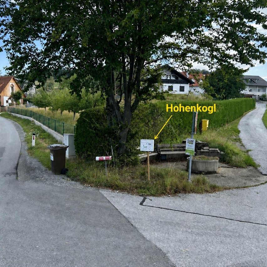 Eine Straßenecke mit einem Baum namens Hohenkogl, einem Mülleimer, einem Schild und einer Bank. Hinter dem Baum ist ein Haus zu sehen.