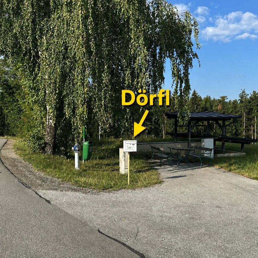 Ein Schild mit dem Wort Dorfl weist auf einen Picknickbereich mit Bänken und einem Tisch unter einem Schutzdach hin, in der Nähe eines großen Baumes und einer Straße.