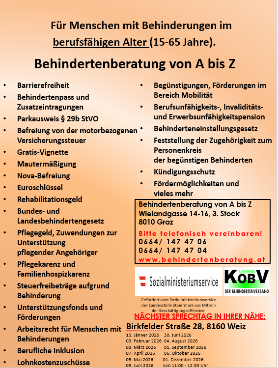 Ein Plakat, das Dienste für Menschen mit Behinderungen im Alter von 15-65 Jahren bewirbt. Es listet verschiedene Dienstleistungen auf, einschließlich barrierefreiem Zugang, Behindertenpässen und Steuerbefreiungen. Kontaktinformationen und eine Website werden bereitgestellt.