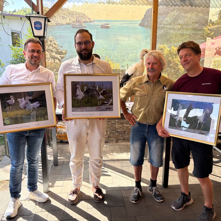 Four men are standing in a pavilion, holding framed pictures of birds. The man in the middle is holding a picture of a bird in flight. The man on the right is wearing a maroon shirt. The man on the left is wearing a white shirt. The man on the right is wearing a tan shirt.