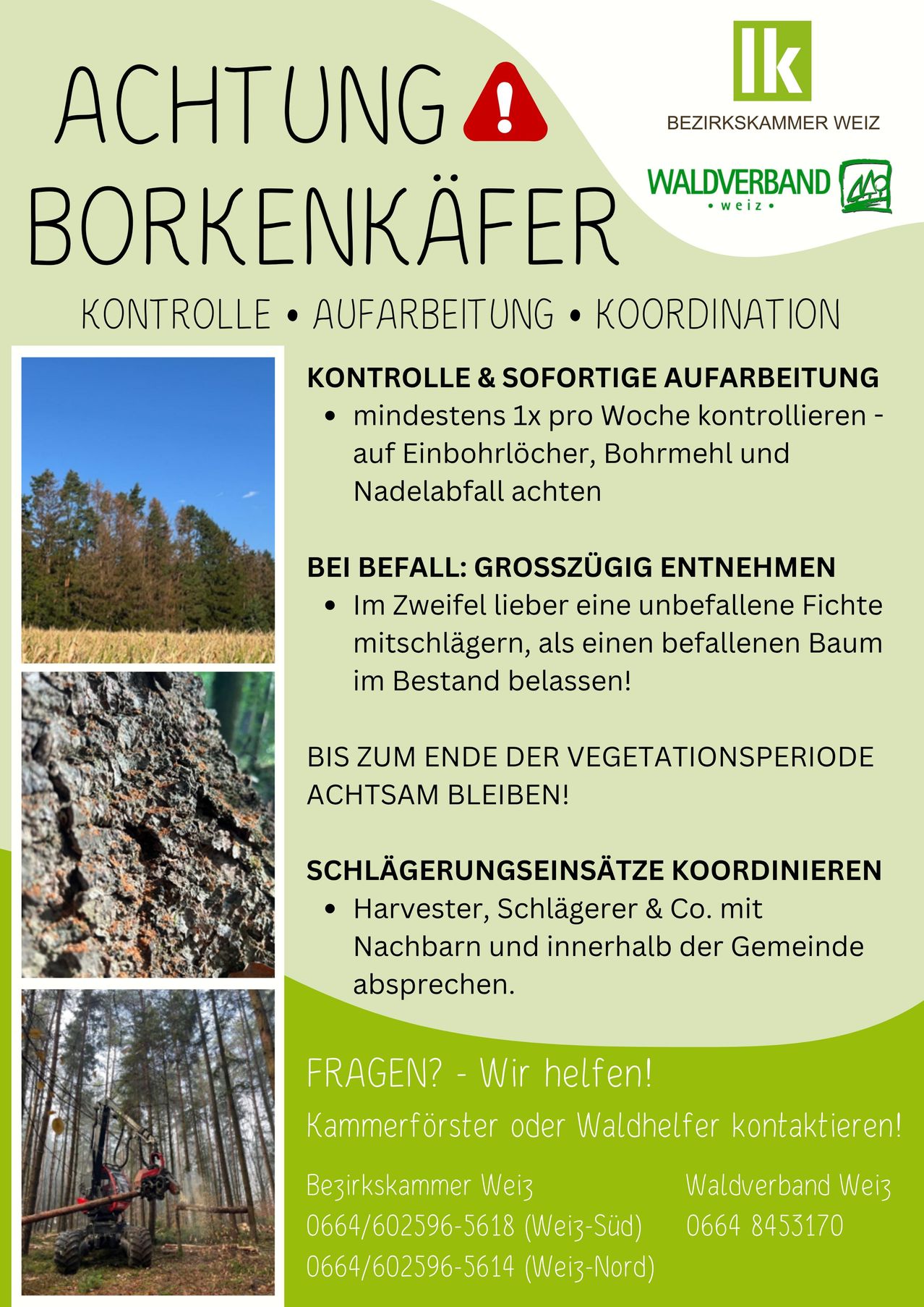 Poster about bark beetle control with images of trees and forest. It mentions control, treatment, and coordination.