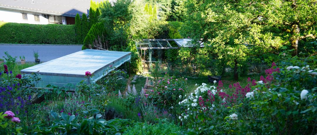 Ein Garten mit einer Vielfalt an Blumen und Pflanzen, umgeben von Bäumen und einem Haus im Hintergrund.
