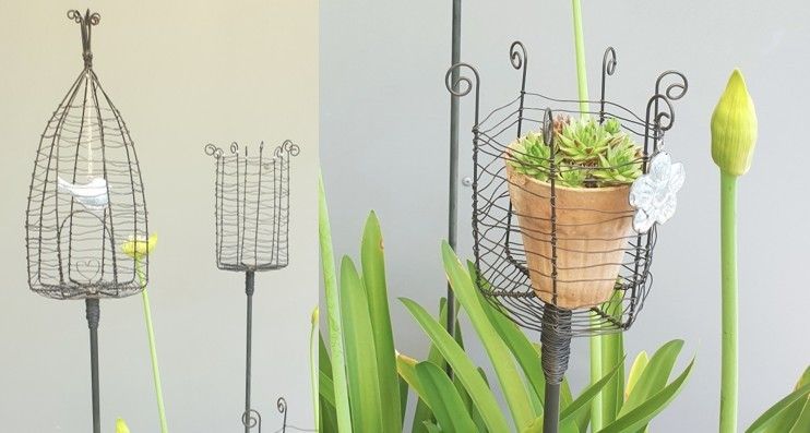 Drei metallische Pflanzenständer mit gelben Blumen und einer Pflanze in einem braunen Topf. Ein Ständer hat einen Drahtkäfig, der einem Vogelkäfig ähnelt.