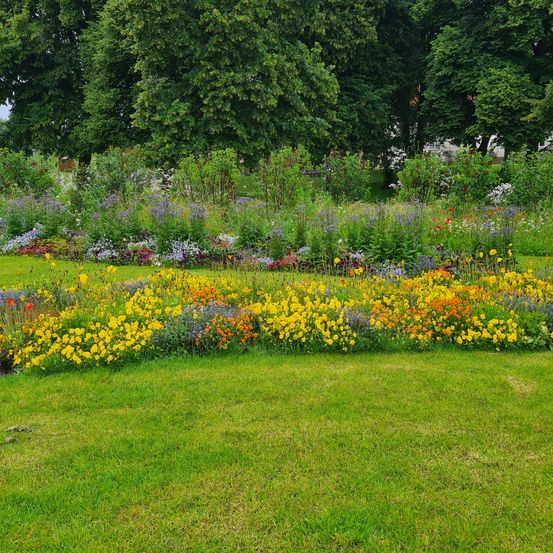 Bild enthält, Field, Grassland, Meadow, Nature, Outdoors, Grass, Garden, Park, Vegetation, Lawn
