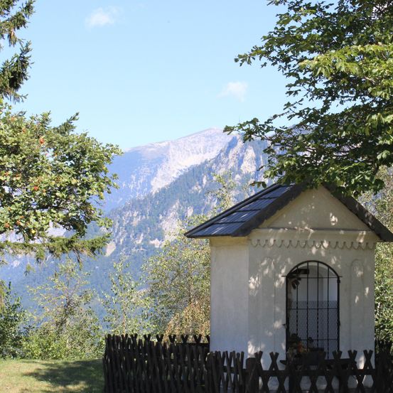 Bild enthält, Plant, Tree, Fir, Outdoors, Garden, Nature, Arbour, Fence