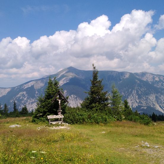 Bild enthält, Tree, Fir, Mountain Range, Nature, Outdoors, Scenery, Cumulus, Sky, Grassland, Grass