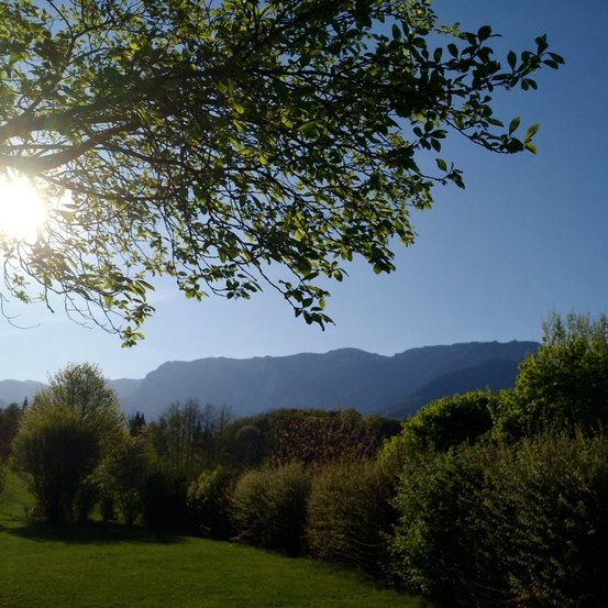 Bild enthält, Grass, Tree, Flare, Vegetation, Sunlight, Nature, Sky, Scenery, Landscape, Grassland