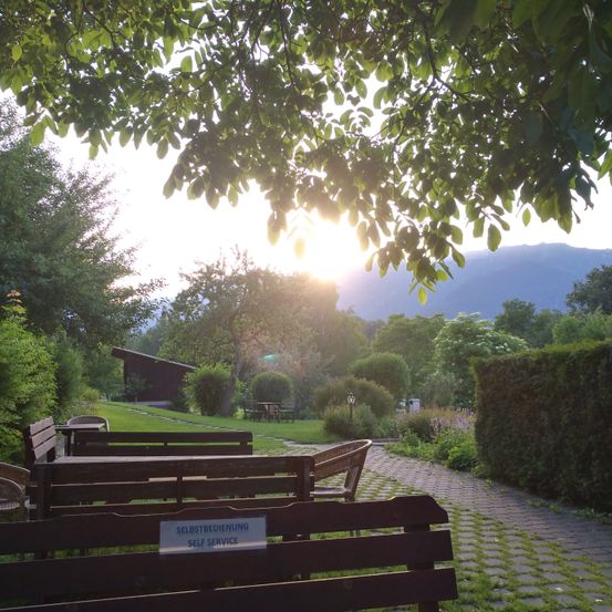 Bild enthält, Garden, Path, Walkway, Flare, Grass, Bench, Sunlight, Scenery, Flagstone, Arbour