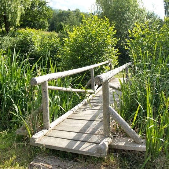 Bild enthält, Boardwalk, Waterfront, Vegetation, Reed, Grass, Path, Garden, Nature, Outdoors, Herbal
