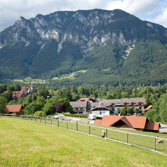 Bild enthält, Nature, Outdoors, Countryside, Rural, Village, Pasture, Mammal, Sheep, Grass, Plant