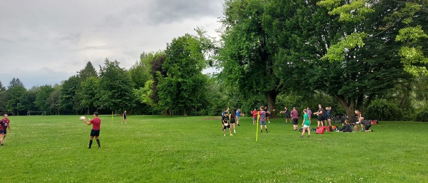 Bild enthält, Grass, Nature, Outdoors, Park, Tree, Grove, Vegetation, Woodland, People, Person