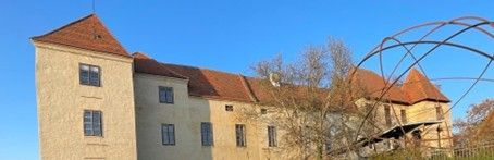 Ein altes Schloss mit einem braunen Dach und vielen Fenstern unter einem klaren blauen Himmel. Bäume umgeben das Gebäude.