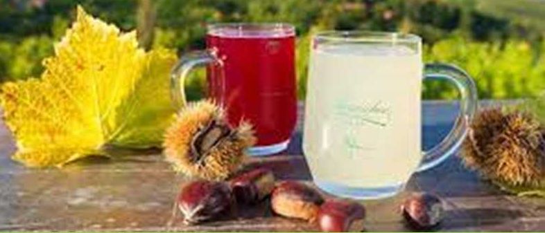 Bild enthält, Herbal, Cup, Advertisement, Beverage, Milk, Food, Produce