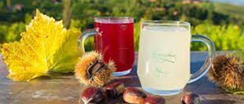 Bild enthält, Herbal, Plant, Cup, Harvest, Nature, Outdoors, Rural, Beverage, Advertisement, Produce