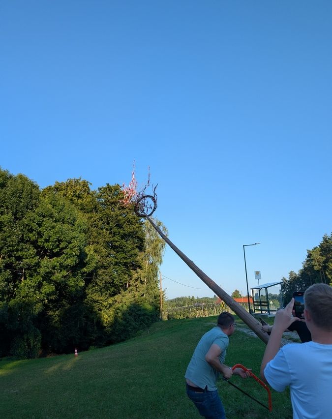 Ein Mann hält ein Werkzeug, während ein anderer ein Foto von einem hohen Pfahl mit Dekorationen oben macht, vor einem Hintergrund aus grünen Bäumen und klarem blauem Himmel.