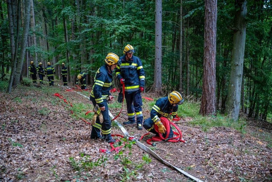 Eine Gruppe von Feuerwehrleuten in blauen Uniformen ist im Wald, einer kniet mit einer Feuerwehrschlauch, ein anderer steht mit einem Schlauch. Sie tragen Helme und Handschuhe.