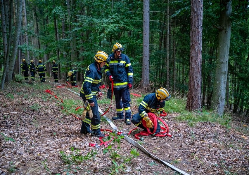Eine Gruppe von Feuerwehrleuten in blauen Uniformen ist im Wald, einer kniet mit einer Feuerwehrschlauch, ein anderer steht mit einem Schlauch. Sie tragen Helme und Handschuhe.