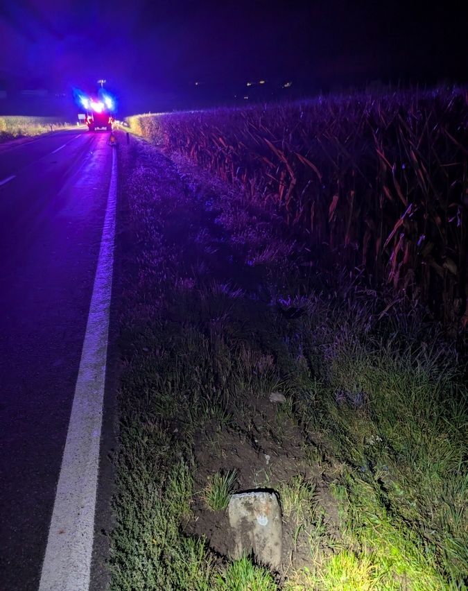 Bei Nacht ist eine Straße von lila Lichtern beleuchtet. Ein Fahrzeug ist am Straßenrand geparkt, möglicherweise ein Polizeiwagen. Die Straße ist rechts von Gras und Mais gesäumt.
