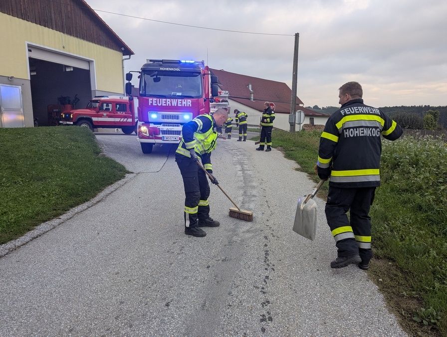 Feuerwehrleute reinigen die Straße mit einem Besen und einer Schaufel. Im Hintergrund steht ein roter Feuerwehrwagen.