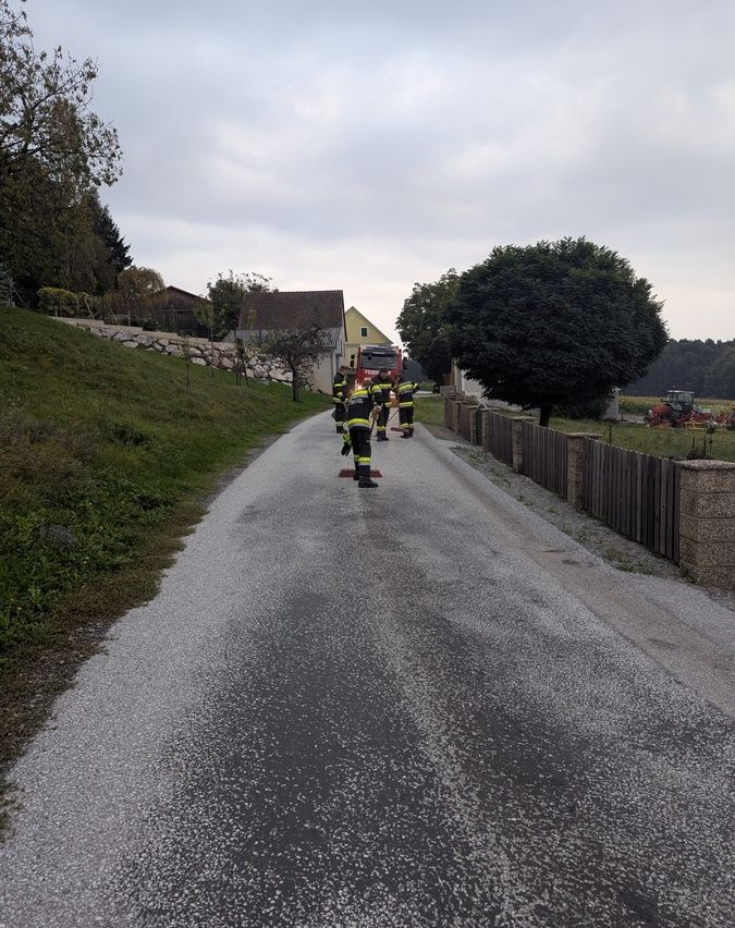 Ein Feuerwehrfahrzeug steht auf einer Straße, und ein paar Feuerwehrleute stehen in der Nähe, möglicherweise als Reaktion auf einen Vorfall.